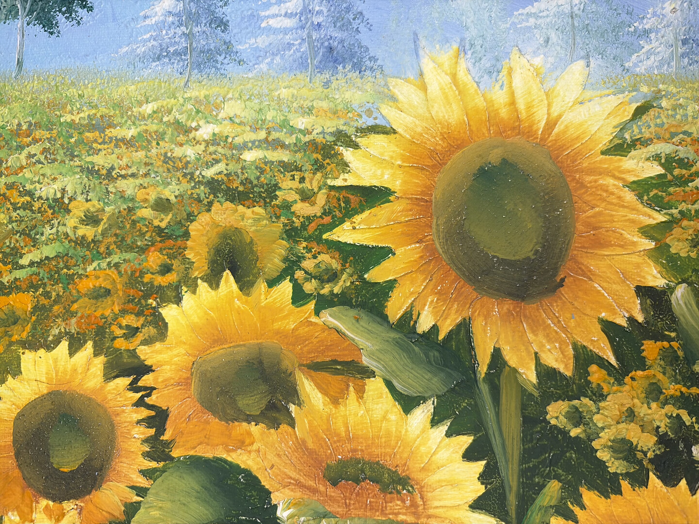 Sonnenblumenfeld im Sommer