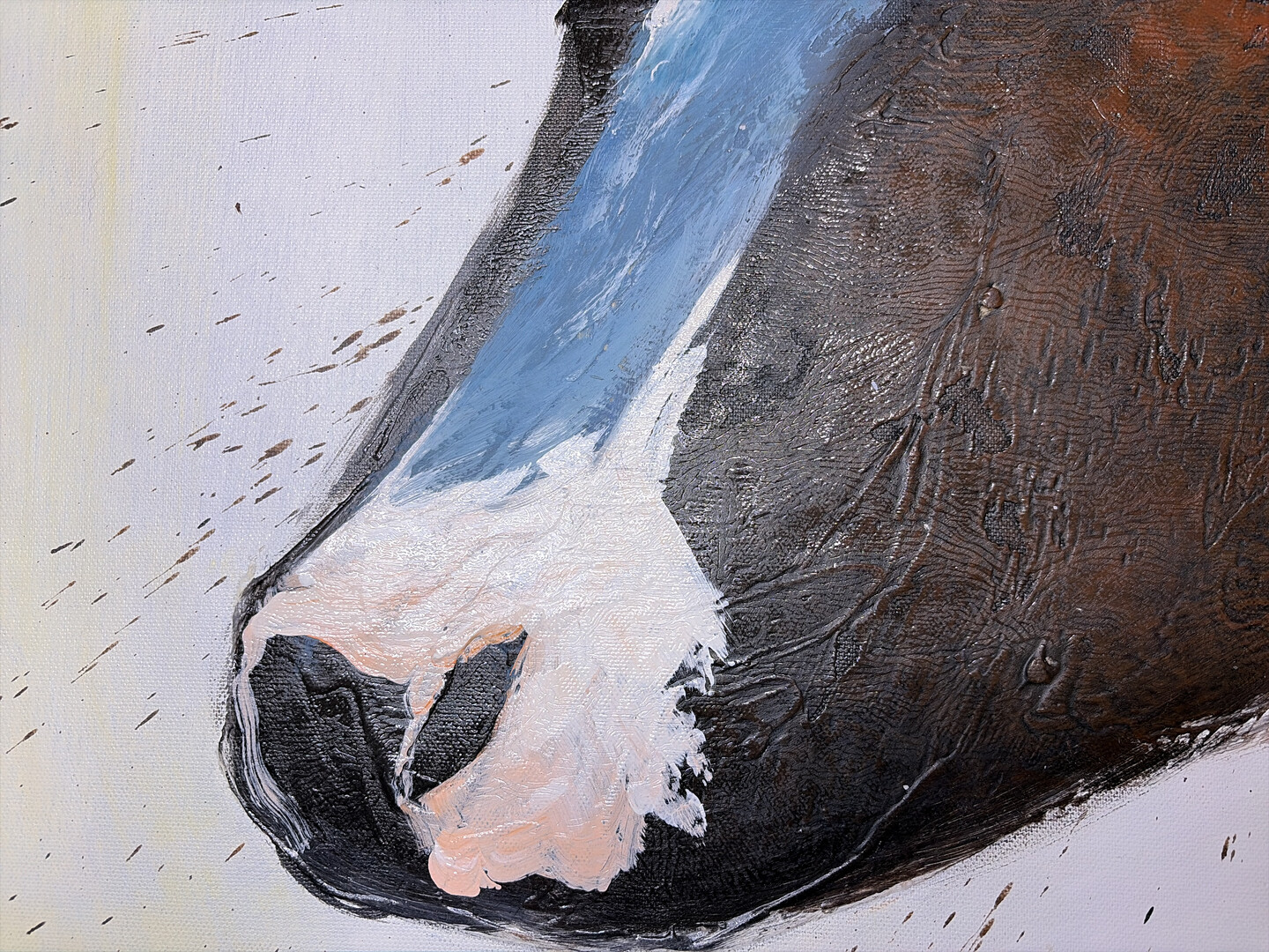 Blaue Kuh im Morgenlicht