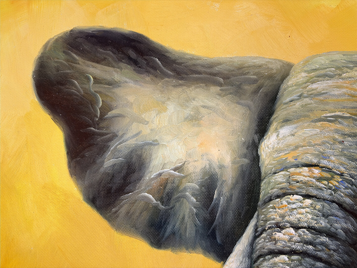 Majestät der Savanne