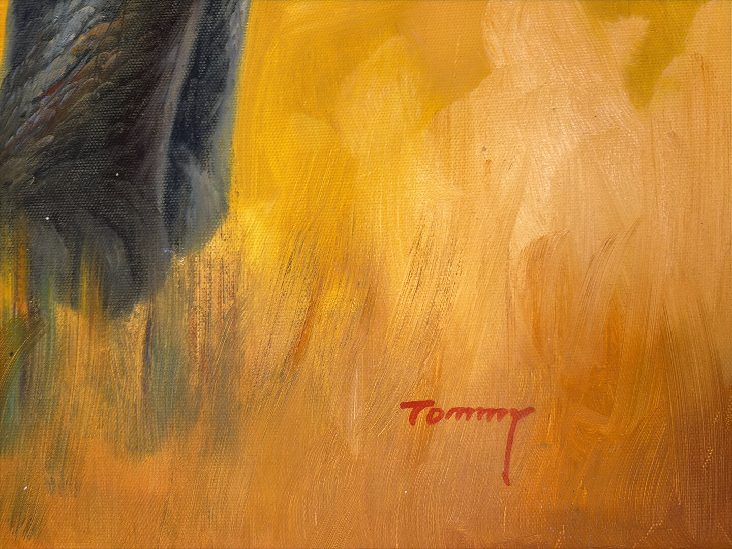 Majestät der Savanne