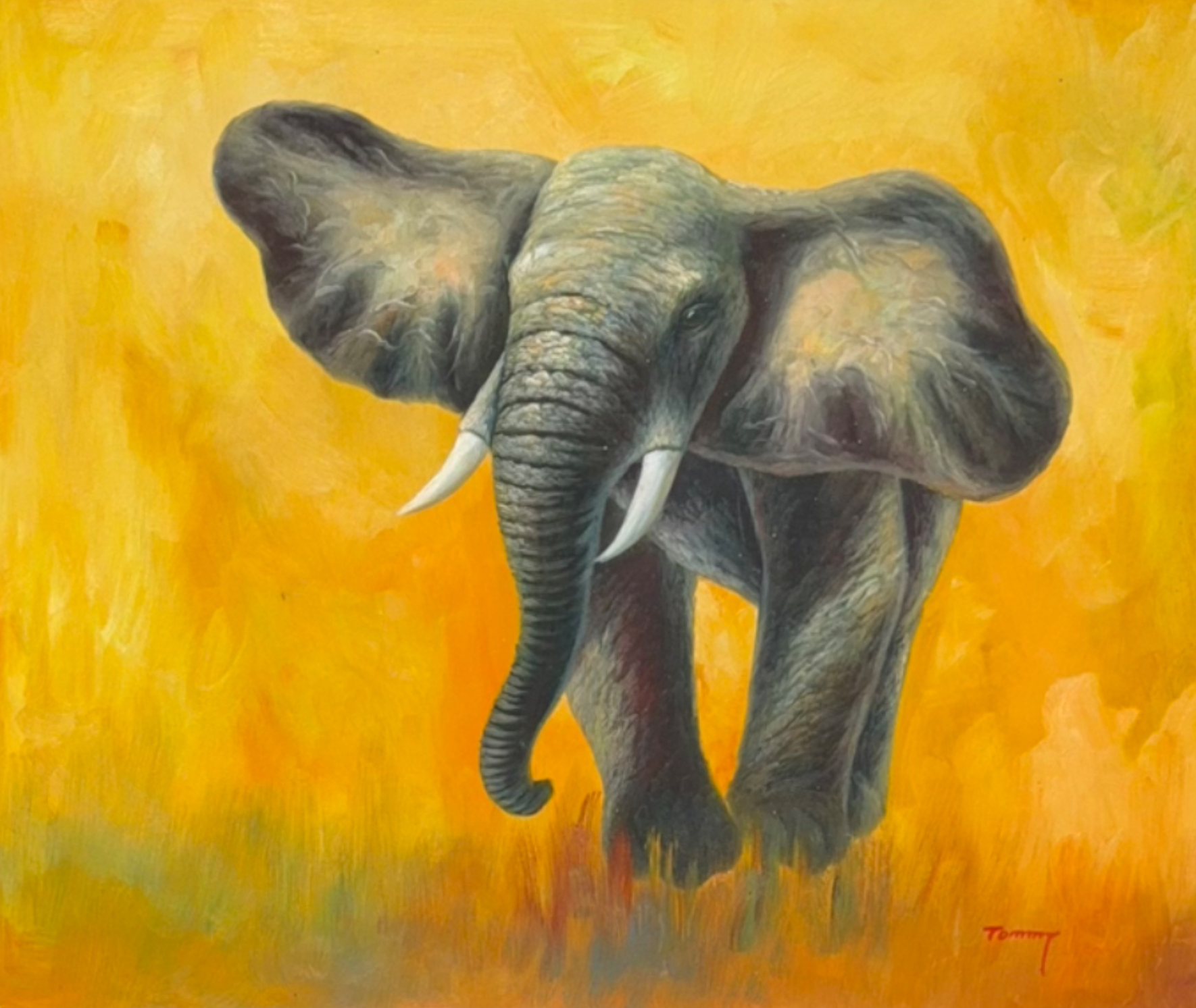 Majestät der Savanne